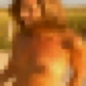 Clara de Aubervilliers, 43 ans - rencontre cougar discret