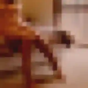 Bertrane, fille de 34 ans veut rencontre cougar à Avignon