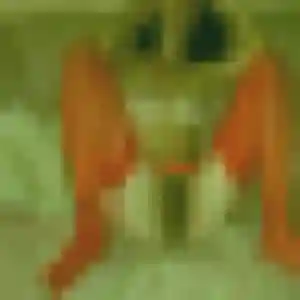 Alessandra de Baisieux, 38 ans - rencontre cougar discret