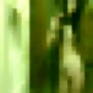 Photo de Nadia à Bandraboua (29 ans) - rencontre cougar discret