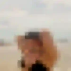 Photo de Roxane à Bayeux (26 ans) - rencontre cougar gratuit