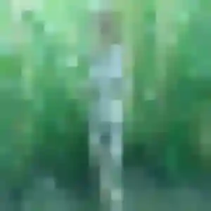 Magalie, fille de 28 ans cherche rencontre cougar à Beaune