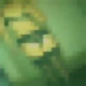 Solene, 28 ans, dispo pour rencontre cougar à Beaupréau-en-Mauges