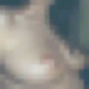 Roxane, 31 ans, dispo pour rencontre cougar à Bergerac