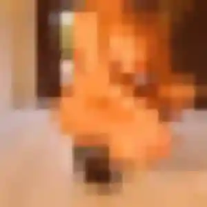 Photo exclusive de Sibylle, 25 ans à Bergerac - rencontre coquine