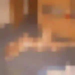 Charmante Joanne, 25 ans à Binic-Étables-sur-Mer - la contacter