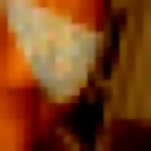 Tania, 21 ans, connectée à Borgo pour une rencontre coquine