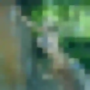 Clotilde, 37 ans, cherche un rencontre cougar à Boussy-Saint-Antoine