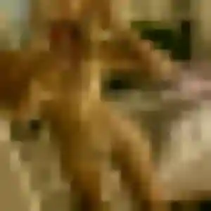 Profil de Marilou à Bras-Panon (25 ans) - rencontre cougar anonyme