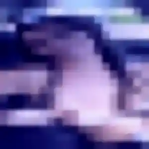 Estee, 25 ans, cherche un rencontre cougar à Cavaillon