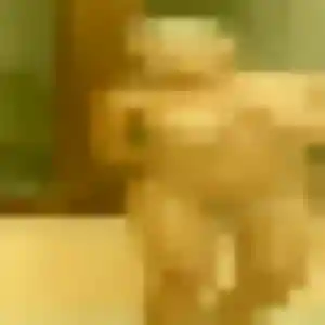 Sexy Veronique, 25 ans à Charleville-Mézières - la contacter