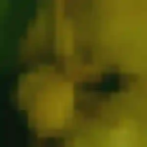 Nelly (44 ans) à Douchy-les-Mines attend un rencontre cougar maintenant