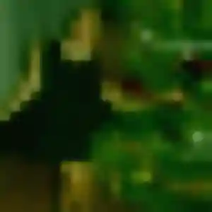 Sylviane, 44 ans, connectée à Étampes pour une rencontre coquine