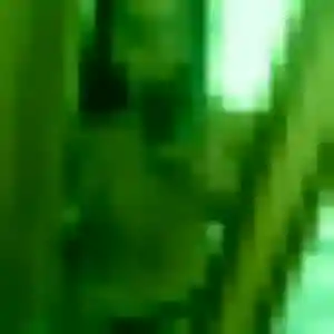 Anne-Charlotte, femme de 44 ans cherche rencontre cougar à Eybens
