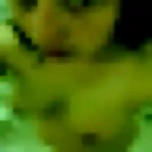 Fiona, femme de 36 ans cherche rencontre cougar à Fleurance