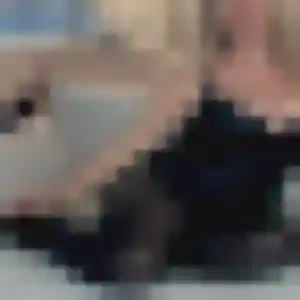 Photo perso de Harmony, 40 ans à Fleury-Mérogis - rencontre coquine