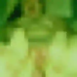 Contacte Penelope, 39 ans à Floirac gratuitement