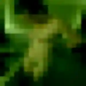 Phoebe, 29 ans, cherche un rencontre cougar à Fos-sur-Mer