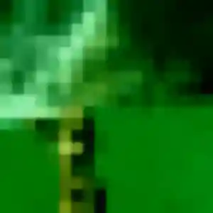 Geraldine (24 ans) à Haguenau cherche un rencontre cougar ce soir