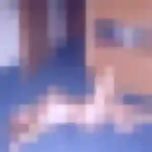 Ingrid, 43 ans, cherche un rencontre cougar à Issoudun