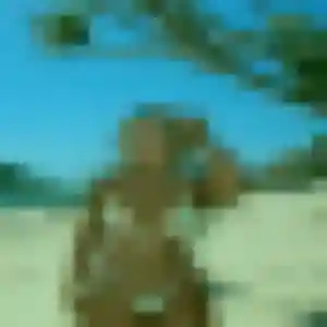 Photo sexy de Marilou, 41 ans à Jonquières - rencontre coquine
