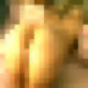 Photo de Lola à La Bassée (23 ans) - rencontre cougar gratuit