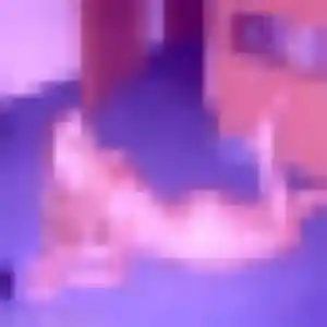 Paloma, femme de 44 ans cherche rencontre cougar à La Roche-sur-Foron