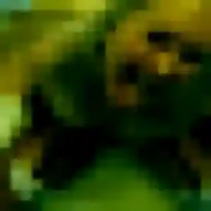 Photo privée de Domitille, 44 ans à La Roquette-sur-Siagne - rencontre coquine