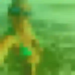 Orane (29 ans) à La Salvetat-Saint-Gilles cherche une rencontre ce soir