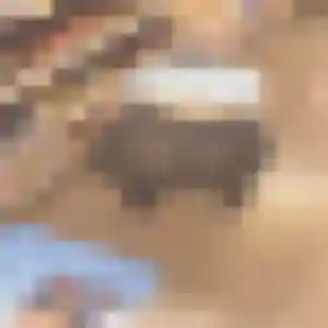 Lucie, fille de 40 ans cherche rencontre cougar à La Tronche