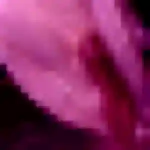 Raphaelle, 36 ans, dispo pour rencontre cougar à Le Cateau-Cambrésis