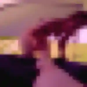 Photo perso de Alessandra, 28 ans à Le Pontet - rencontre sans lendemain