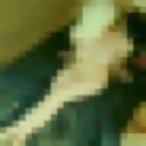 Photo de Judith à Les Achards (37 ans) - rencontre cougar gratuit