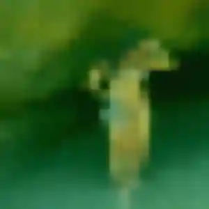 Profil de Eva à Les Andelys (33 ans) - rencontre cougar discret