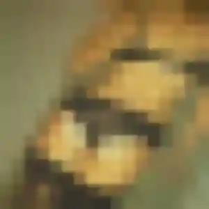 Domitille, 34 ans, cherche un rencontre cougar à Les Lilas