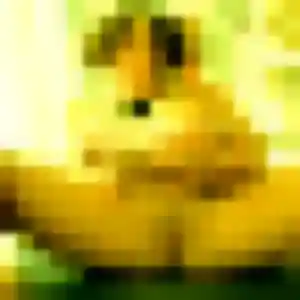 Photo privée de Katia, 26 ans à Lieusaint - plan discret