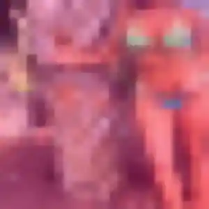 Cyrielle (39 ans) à Liffré propose un rencontre cougar aujourd'hui
