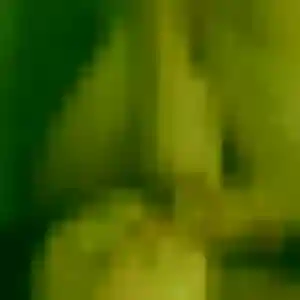Jolie Fleur, 41 ans à Marck - la contacter
