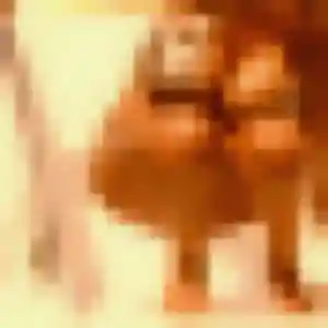 Candice (36 ans) à Melun cherche un rencontre cougar maintenant
