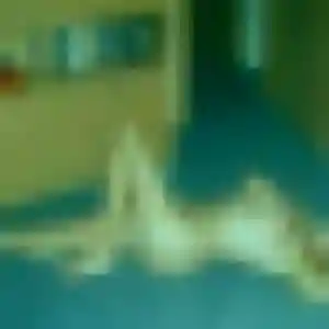 Leontine (34 ans) à Mériel attend une rencontre maintenant