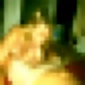 Brune de Mesnils-sur-Iton, 43 ans - rencontre cougar sans lendemain