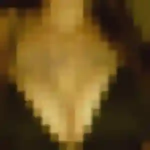 Romane, femme de 35 ans cherche rencontre cougar à Monteux