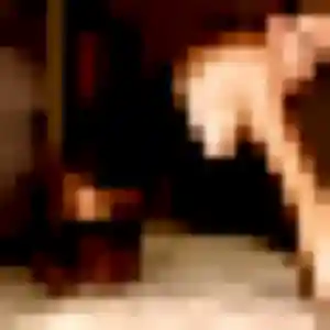 Profil de Ambre à Noisy-le-Grand (39 ans) - rencontre cougar anonyme