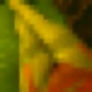 Photo sexy de Iris, 33 ans à Onet-le-Château - plan discret