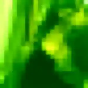 Jolie Vinciane, 33 ans à Orthez - la contacter