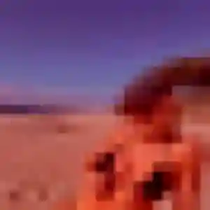 Photo sexy de Sibylle, 37 ans à Orvault - rencontre sans lendemain