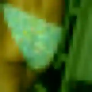 Azalee, 36 ans, connectée à Plédran pour une rencontre coquine