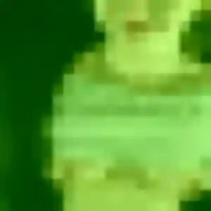 Ameline, 42 ans, en ligne à Plescop pour un rencontre cougar