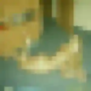 Wahiba, 42 ans, dispo pour rencontre cougar à Pleurtuit