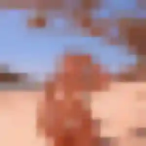 Marion (31 ans) à Pouzauges cherche une rencontre ce soir